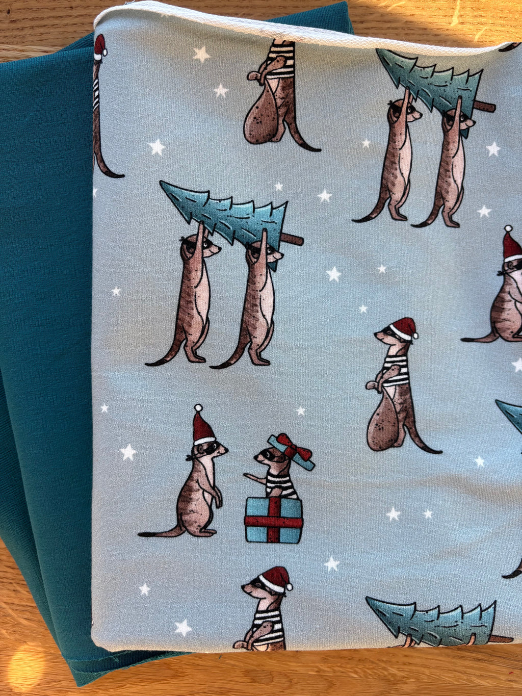 Winter-Stoffbundle Karl Xmas