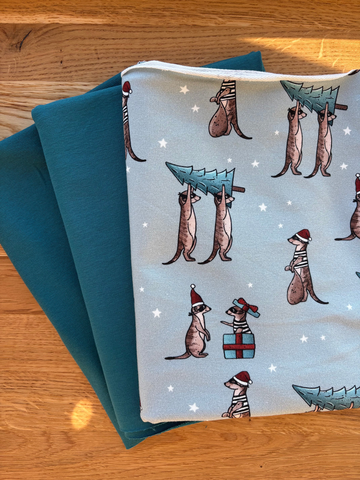Winter-Stoffbundle Karl Xmas